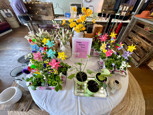 Mother's Day Pansy Pots