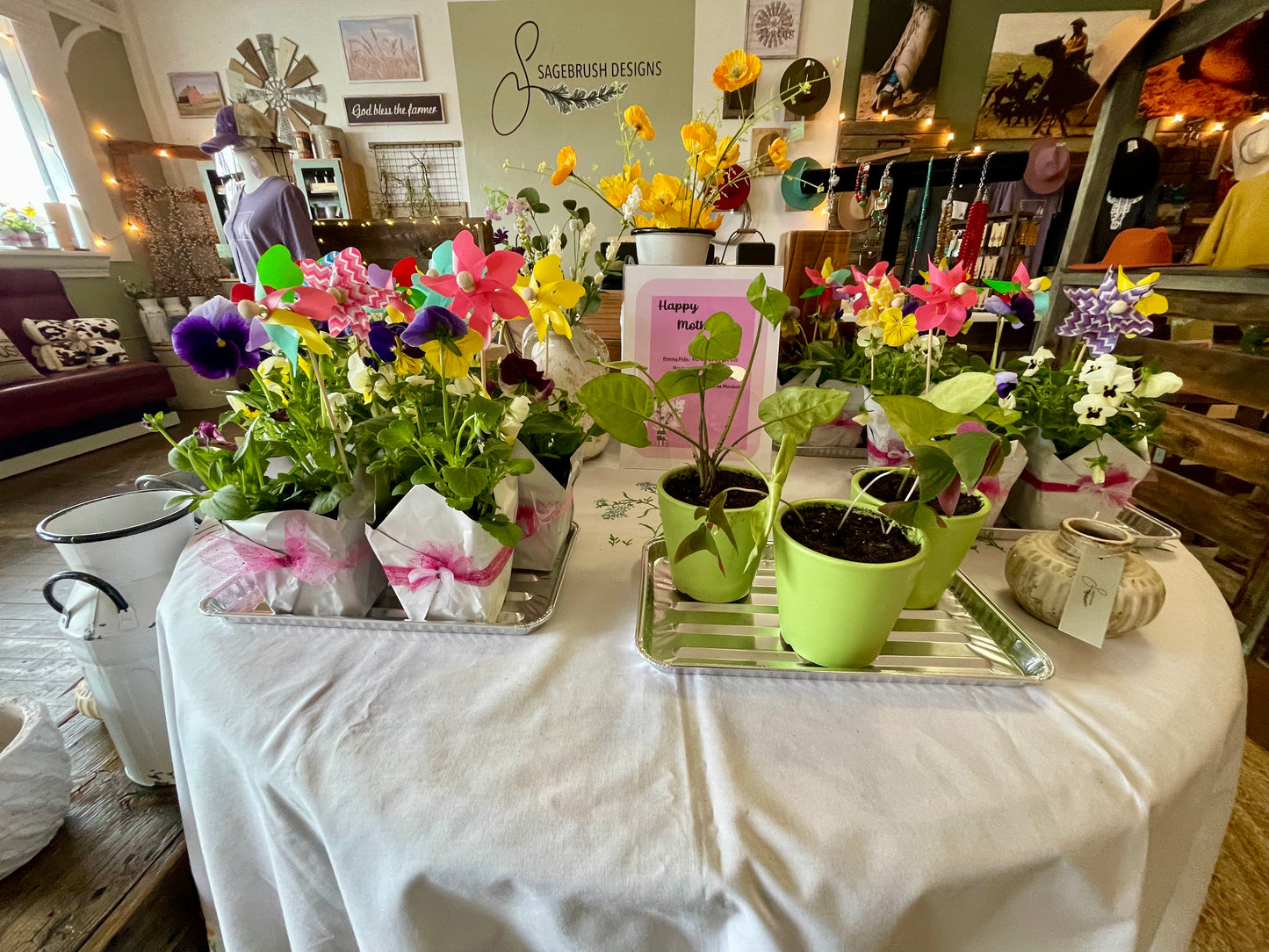 Artemisa diseña plantas en macetas tradicionales