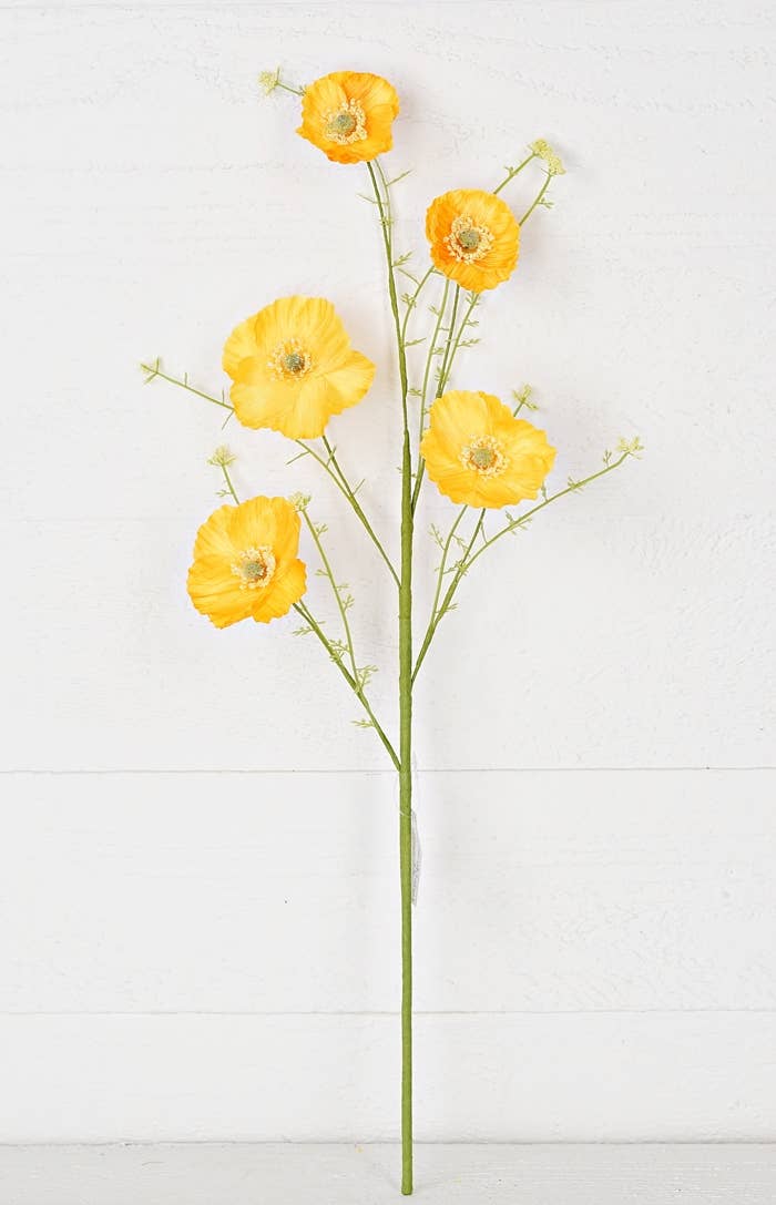 Coquelicot ridé jaune (choix de 25 po)